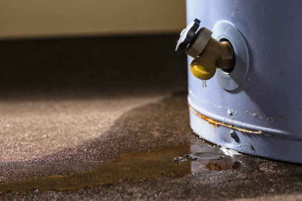 Best Flood restoration services  in Mount Vernon, NY