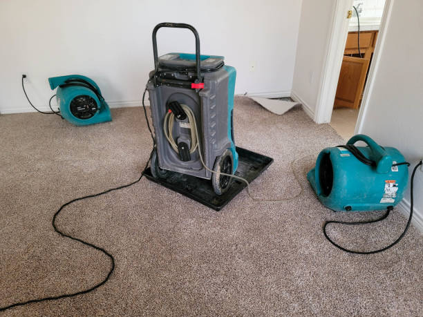 Best Fire Damage Restoration  in Mount Vernon, NY