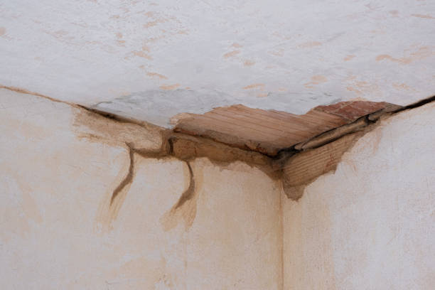 Best Emergency water damage restoration  in Mount Vernon, NY