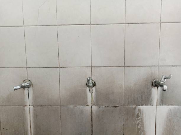 Best Sewage cleanup and water damage restoration  in Mount Vernon, NY