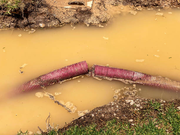 Best Basement water damage restoration  in Mount Vernon, NY