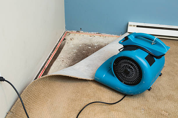 Best Professional water damage repair  in Mount Vernon, NY
